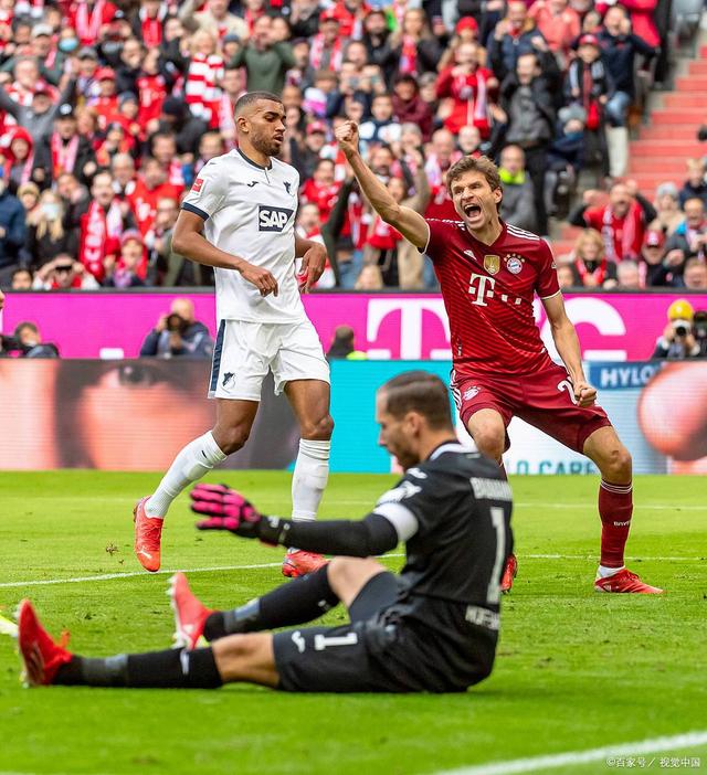 关于波鸿霍芬海姆连续不败，表现稳定争取欧战资格的信息